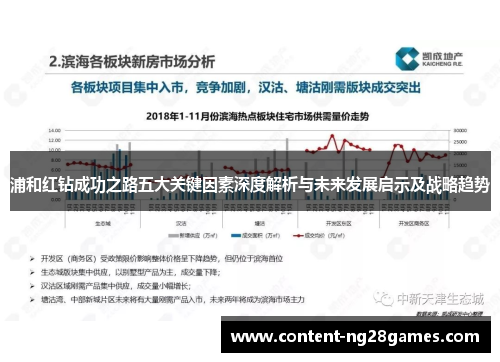 浦和红钻成功之路五大关键因素深度解析与未来发展启示及战略趋势